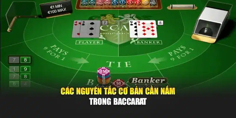 Các nguyên tắc cơ bản cần nắm trong baccarat